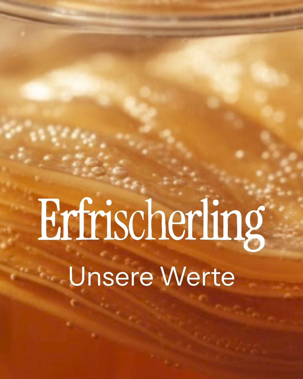 Ein orangefarbener Kombucha im Glas in Nahaufnahme mit dem Erfrischerling-Logo und den Worten "Unsere Werte" als weißer Schriftzug