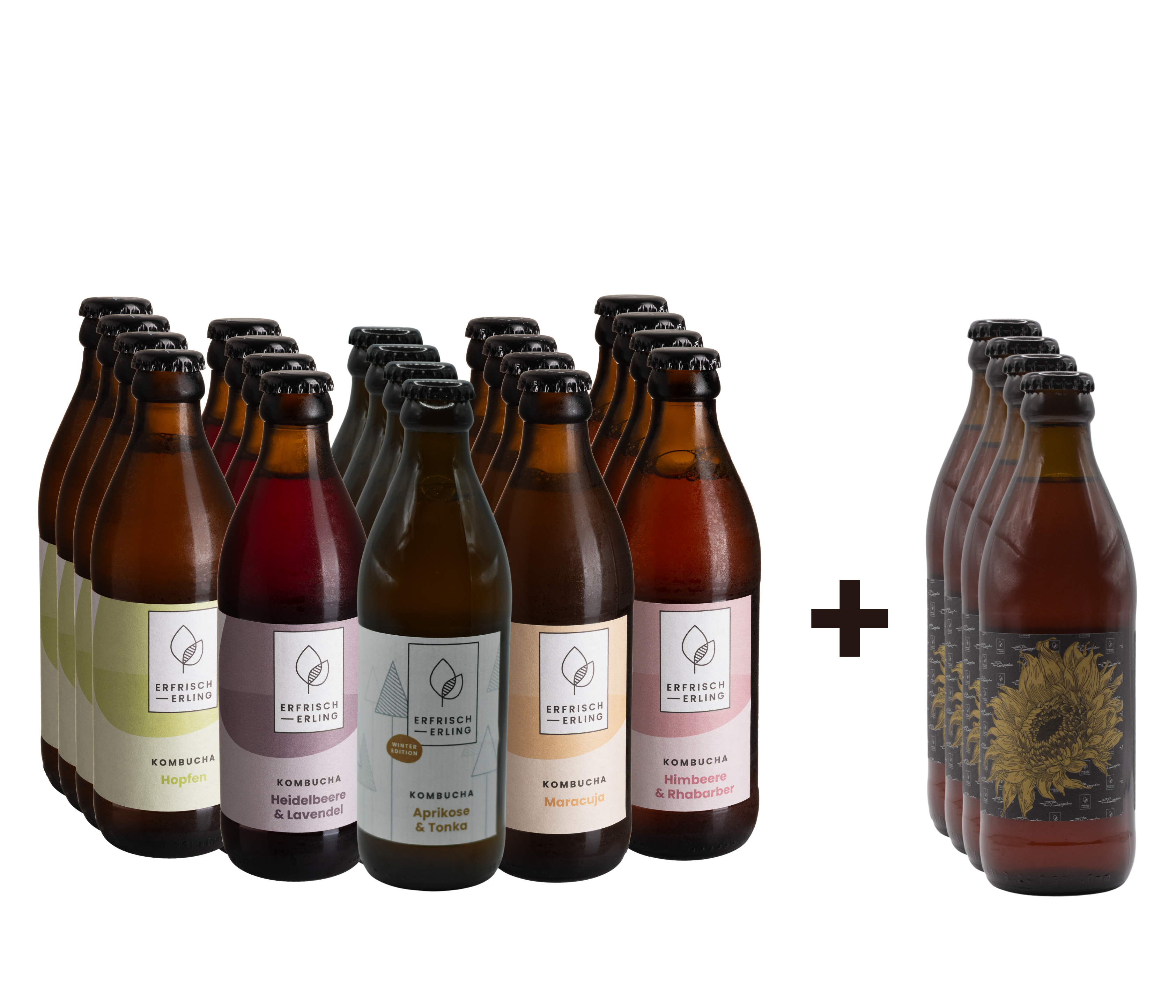 Winter-Set Erfrischerling 24x0,33l