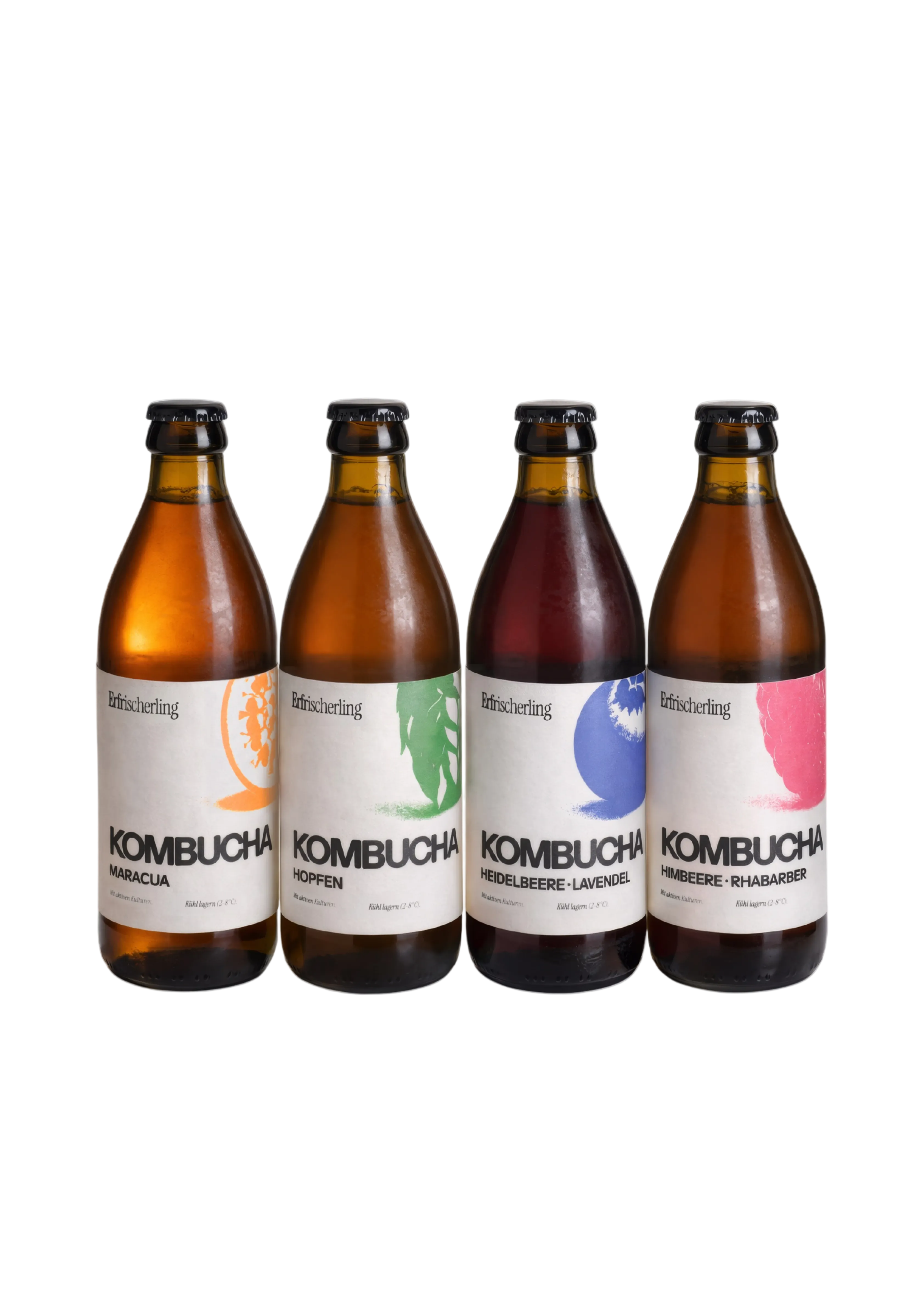 Kombucha Klassiker Set