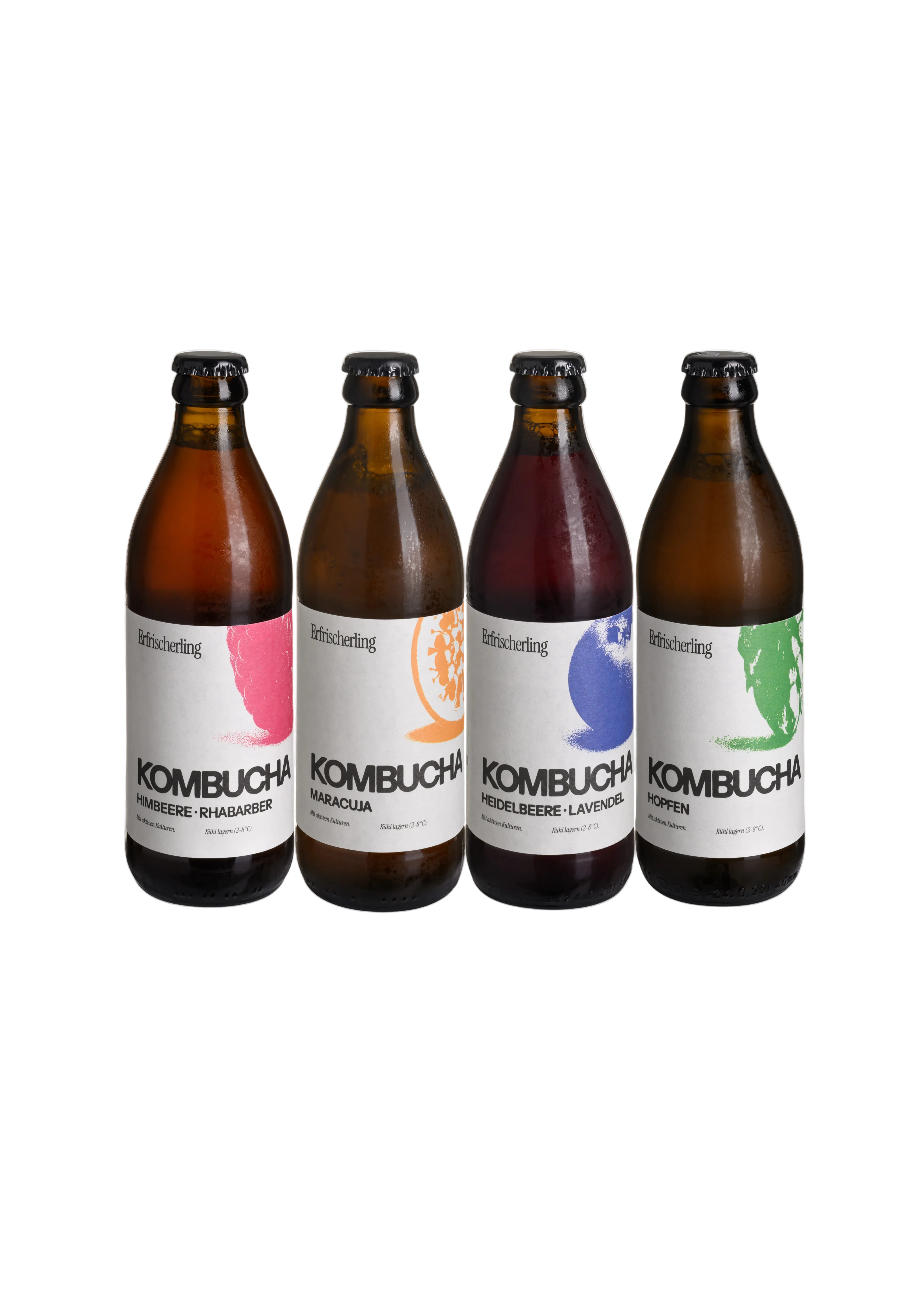 Kombucha Klassiker Set