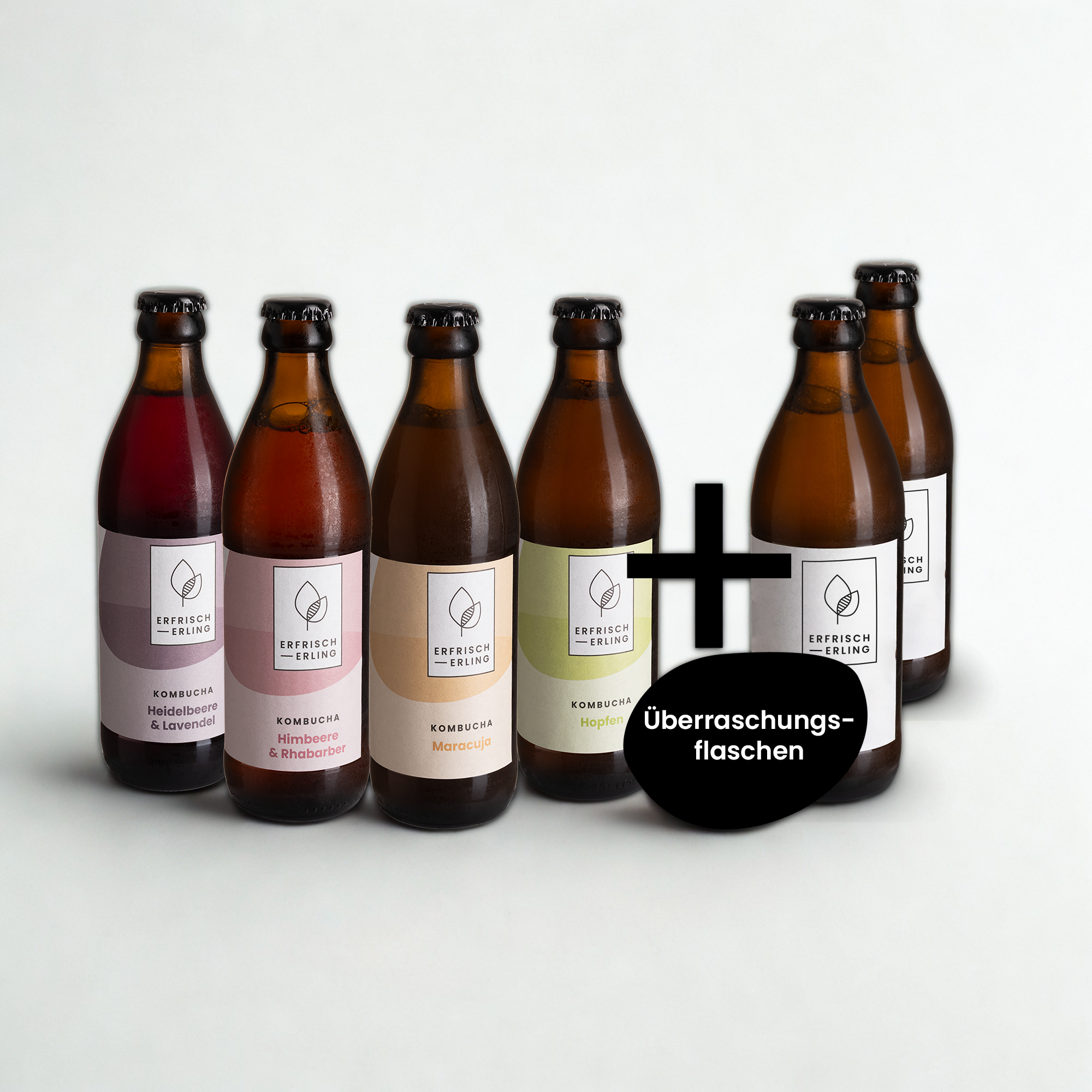 Klassiker-Set Erfrischerling 6x0,33l